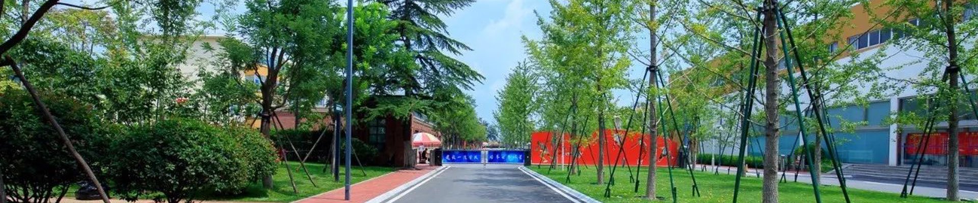 走进球盟会